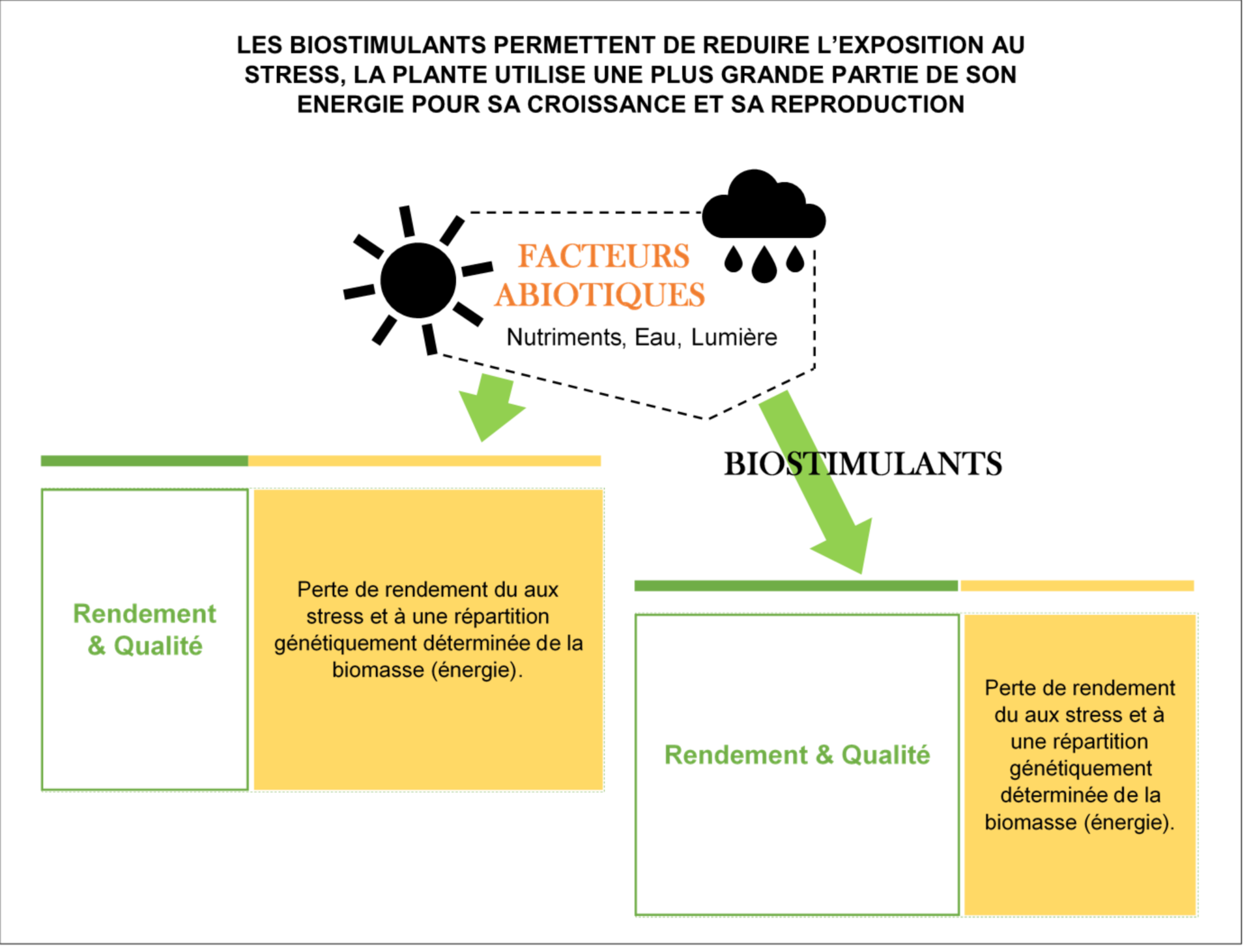 Engrais inorganique : définition et explications